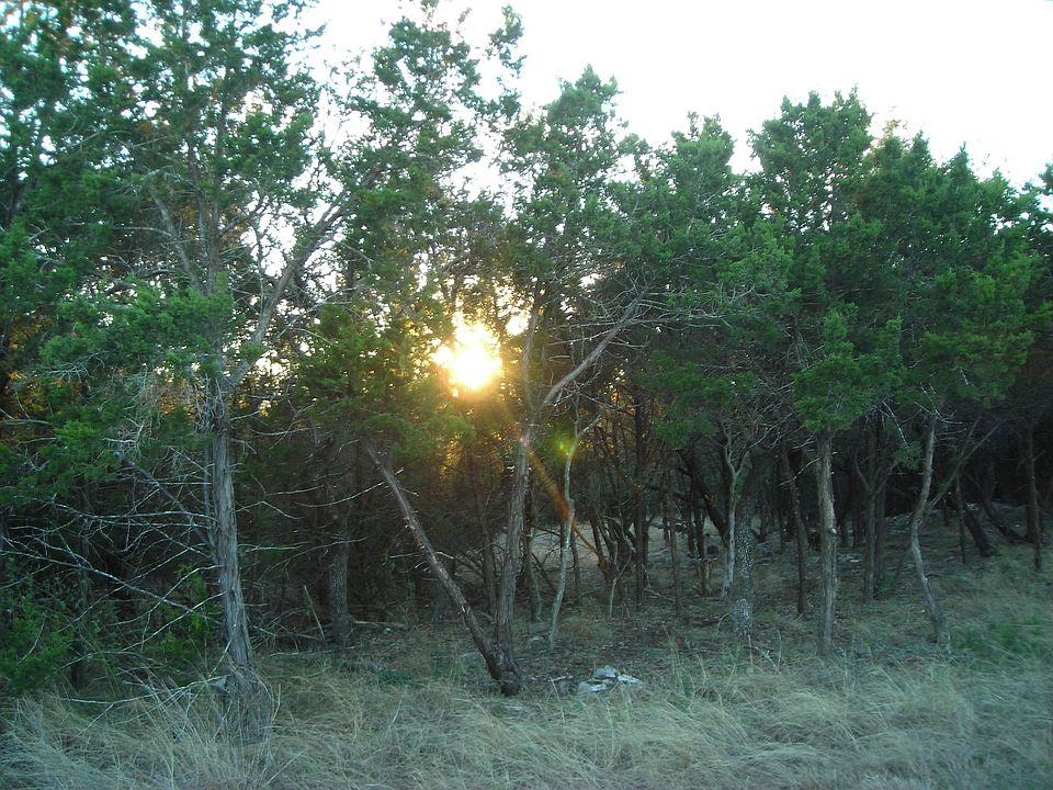 View Lot