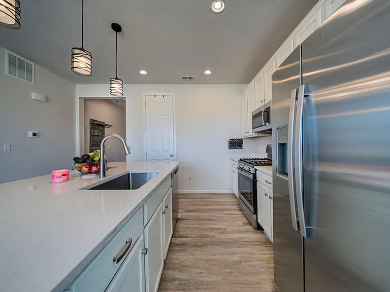 8262 Buffalo Horn Dr — Photo 11