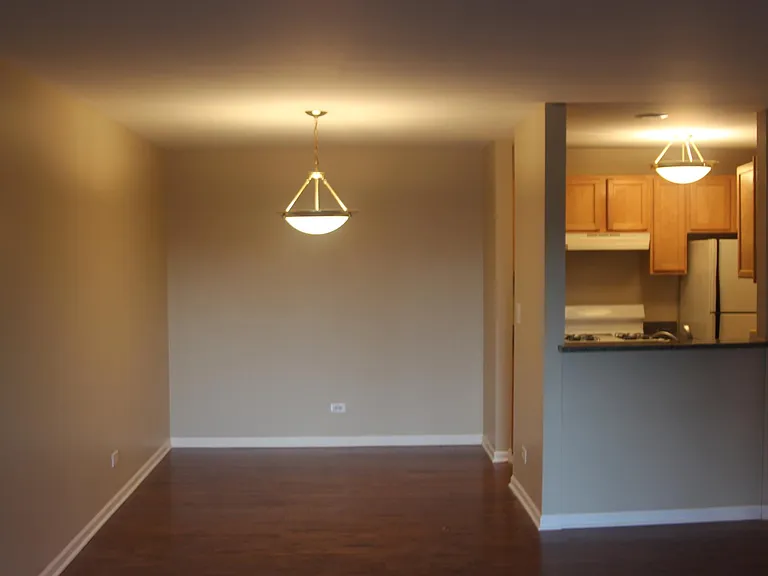 Dining area/kitchen