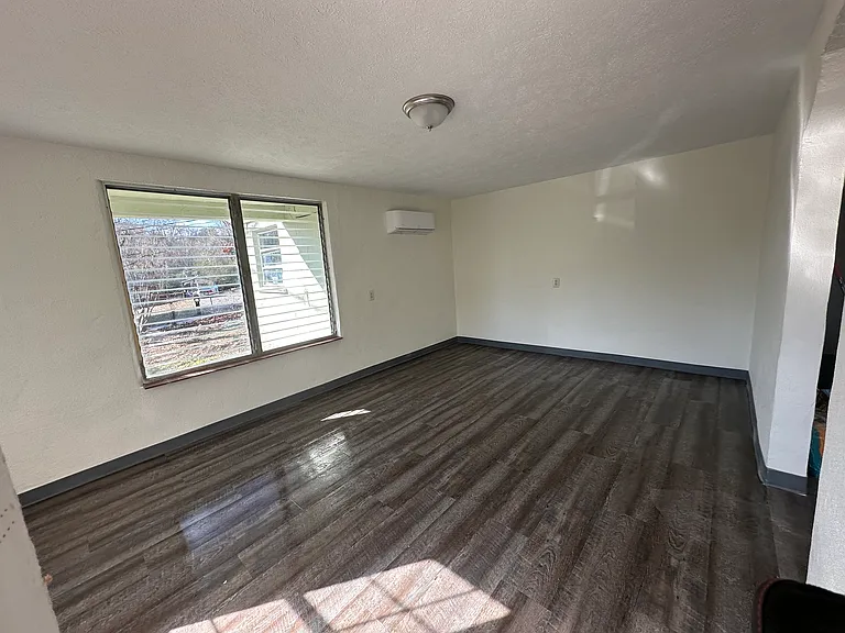 Basement apartment living room