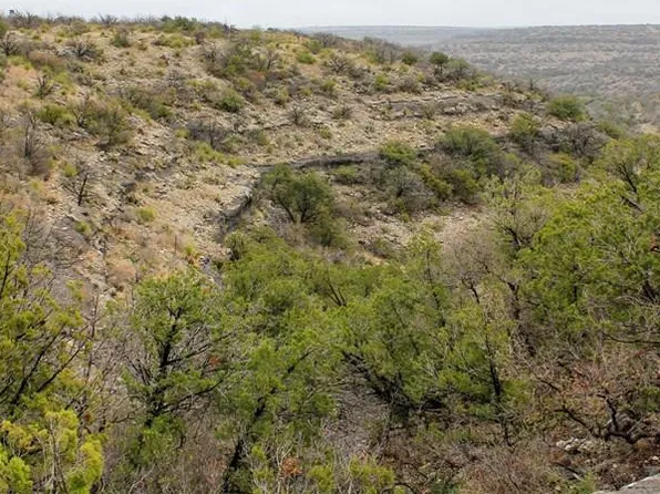 0 Holcomb Rd, Ozona, TX 76943