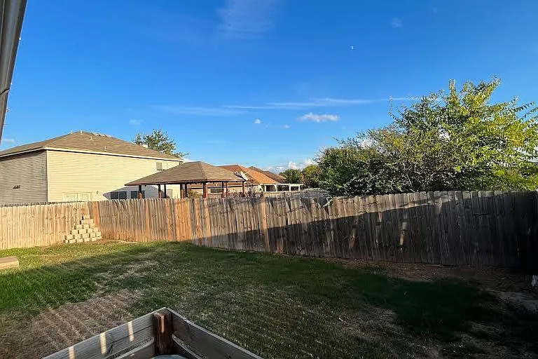 back yard