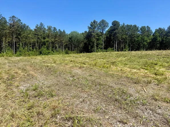 0 County Road 196, Danville, AL 35619