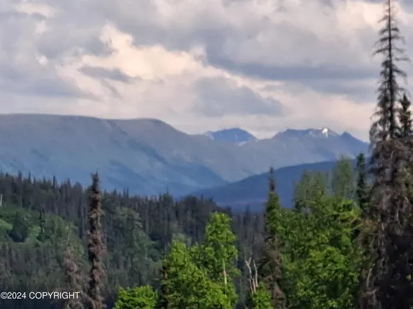 12797 W Snowberry Rd, Willow, AK 99688