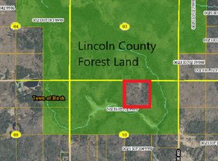 N6750 Langes Rd, Irma, WI 54442