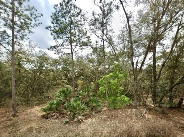 109 Dottie St #5, Interlachen, FL 32148