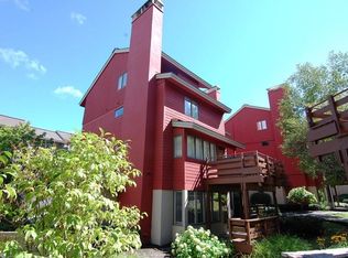 19 Mountain Reach #19, Stratton Mountain, VT 05155