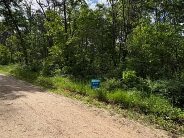 Vl E Lynndon St, Idlewild, MI 49642