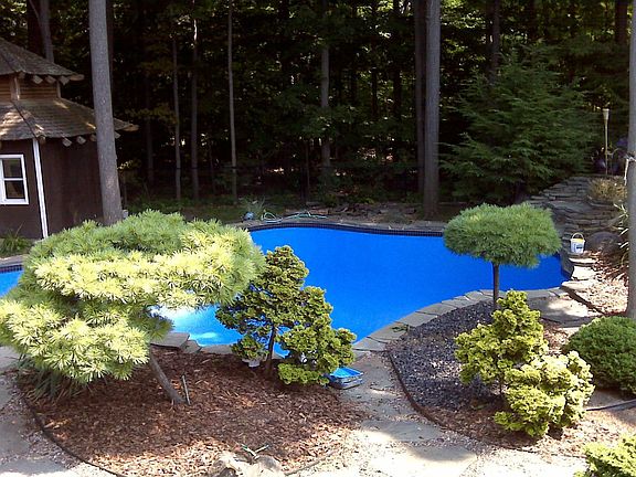 3rd image of 190 Curley Dr