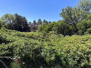 3 Smokey Ln, Battle Lake, MN 56515