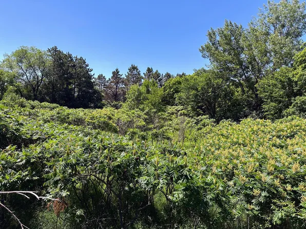 3 Smokey Ln, Battle Lake, MN 56515