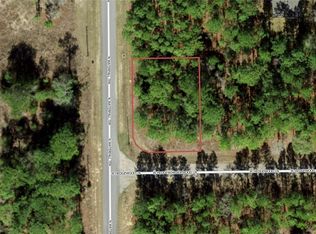 1275 W Hedgewood Ln, Citrus Springs, FL 34434
