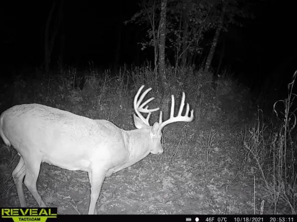 115.5 Ac Hwy #23, Princeton, WI 54968