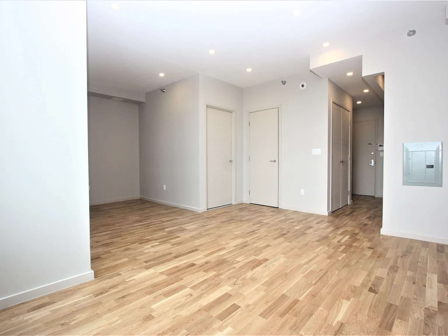 1511 Bedford Avenue — Photo 4