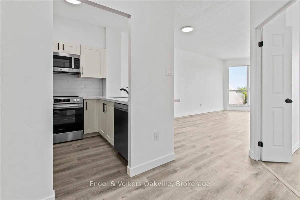 1 bed, $3,300 — Photo 4