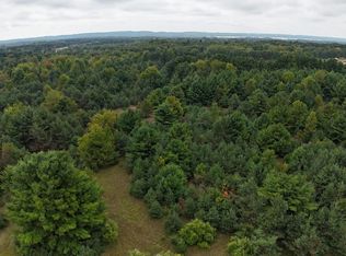 Lumley Rd, Bear Lake, MI 49614