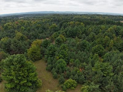 Lumley Rd, Bear Lake, MI, 49614