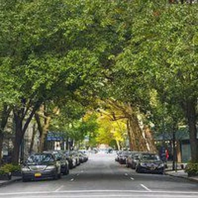 Rented by Alpha Properties NYC I LLC | media 28