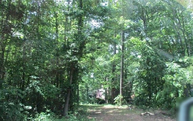 2nd image of 211 Merrill Harper Rd