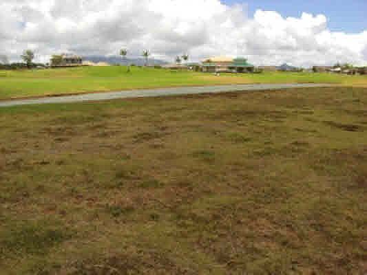 2nd image of LOT 1727