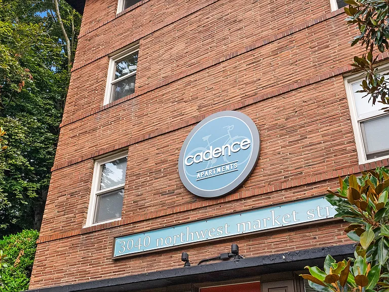 Cadence — Photo 48