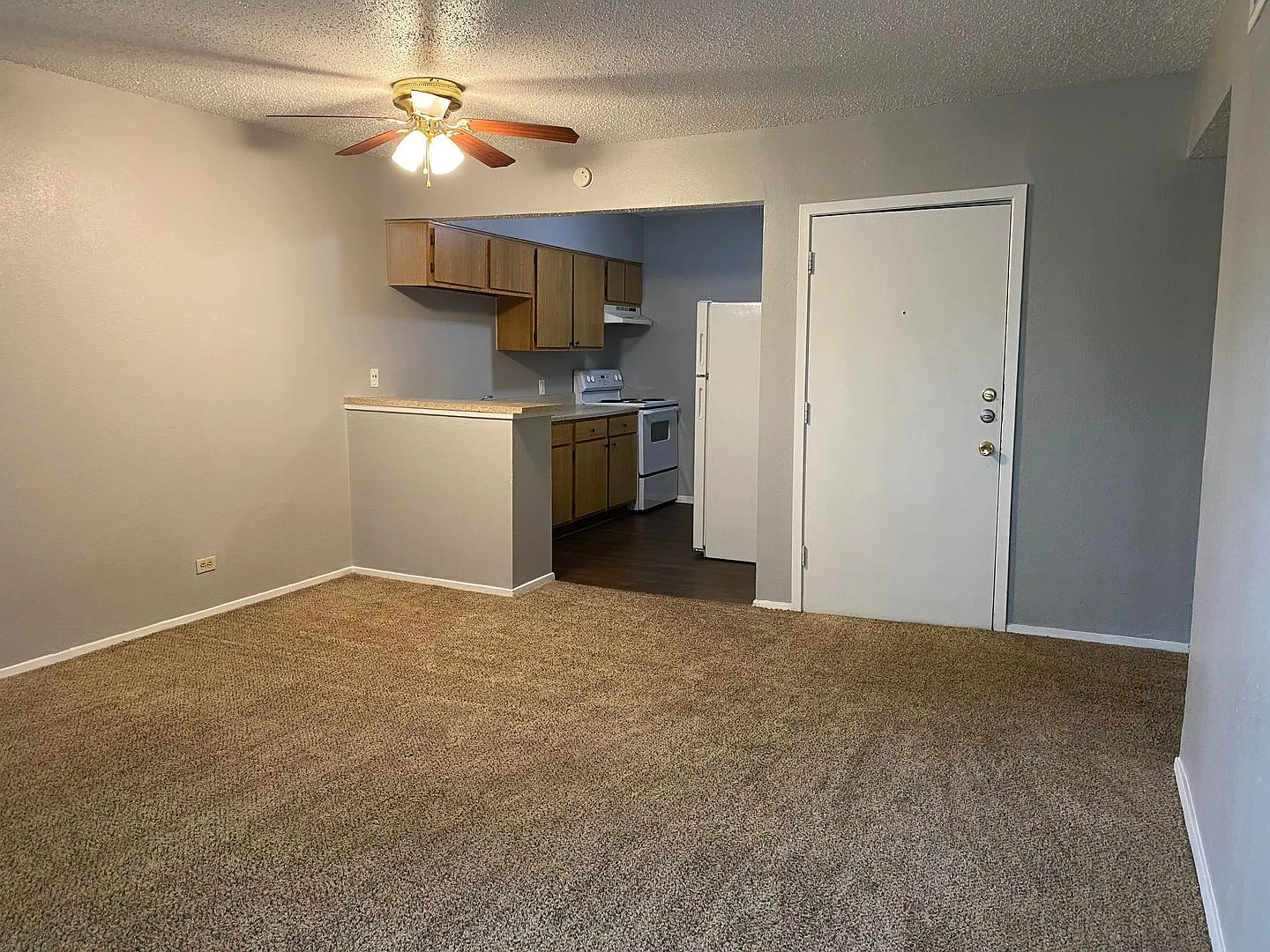 Large 1-Bedroom Off San Pedro — Photo 1