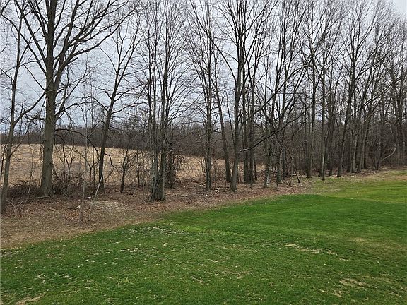 5th image of 15229 Timber Ridge Dr