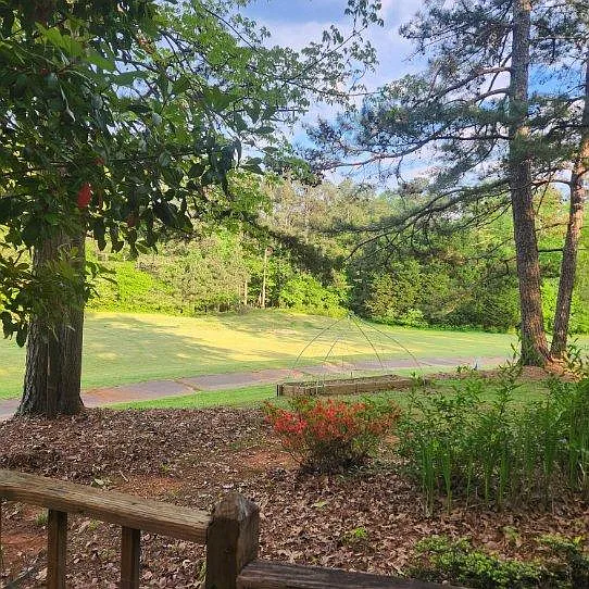 View from the Deck