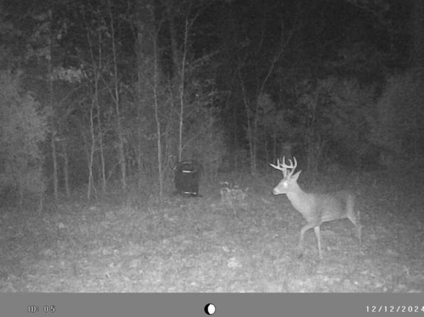 0 State Highway 431, Drakesboro, KY 42337