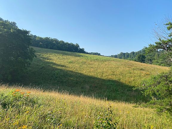 The rolling meadow pasture ground in the south part of the property