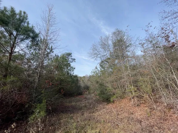0 Mudline Rd, Magnolia, MS 39652