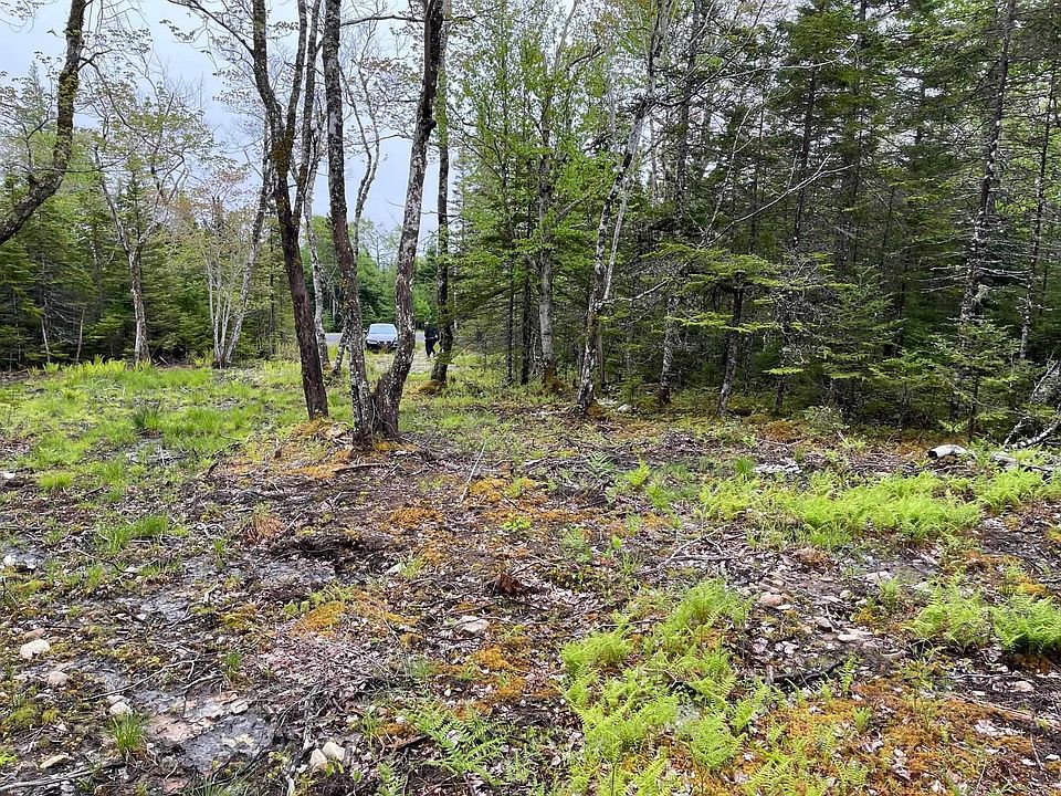 2nd image of 81 Maple Dr Lot 1A