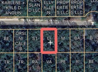 0 E Basford St, Interlachen, FL 32148