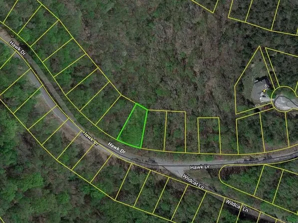 Hawk Dr, Eureka Springs, AR 72631