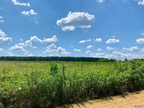 4 County Road 508, Fort Payne, AL 35968