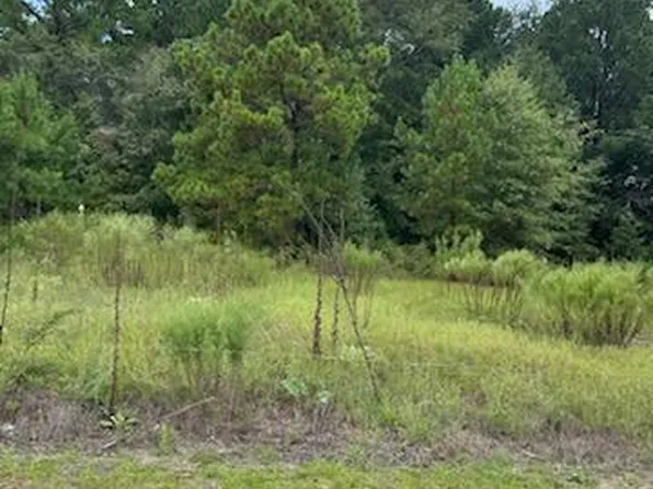 101 Peachview Drive, Hamlet, NC 28345