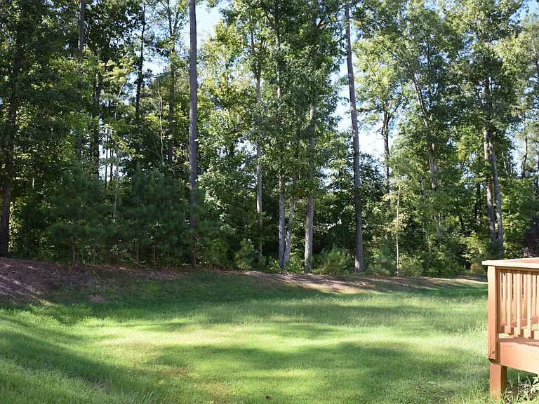 Backyard woods