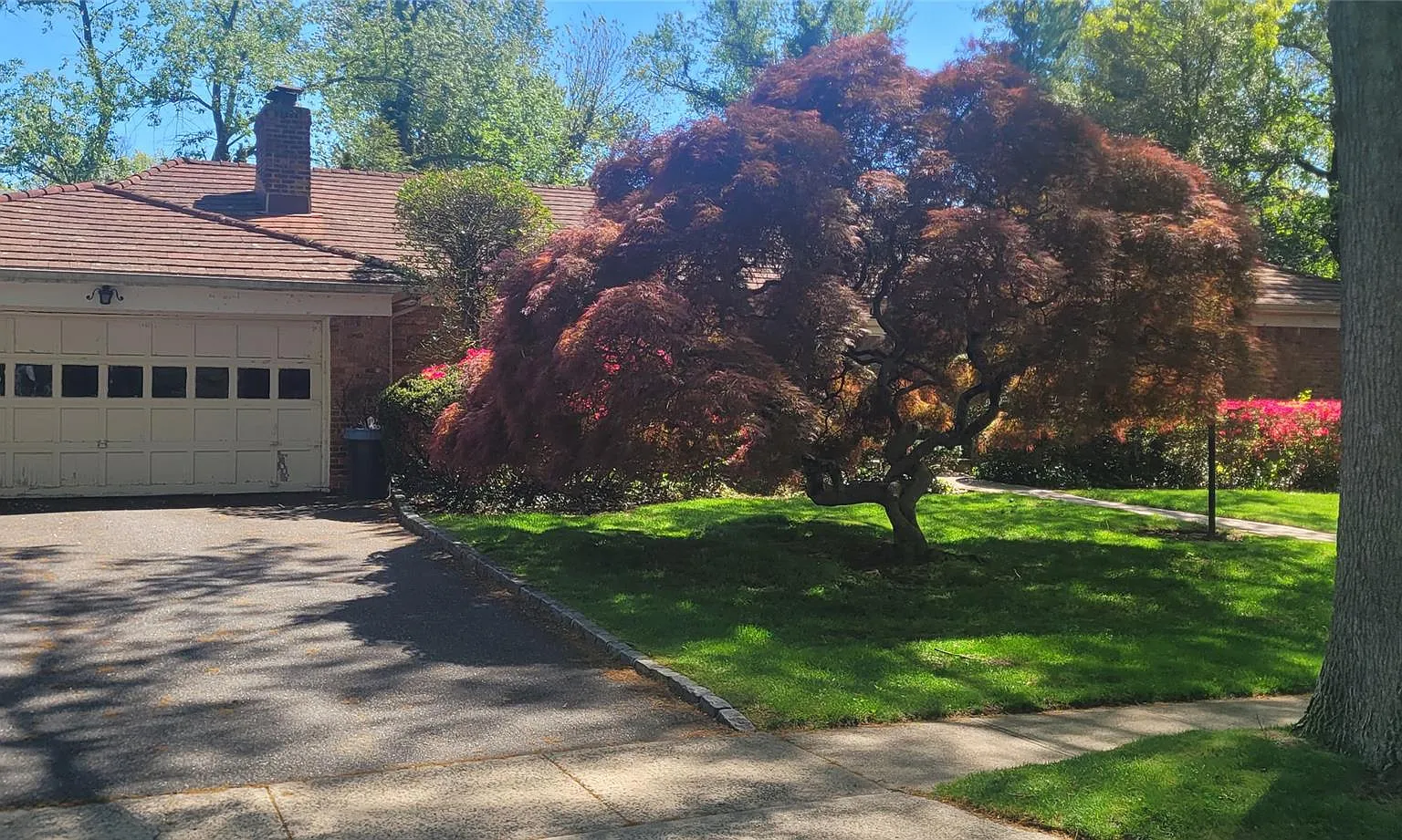 4 bed, 3.5 bath, 3310 sqft, $8,300 — Photo 3