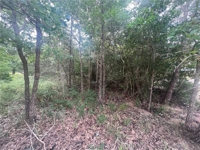 Apache Dr N, Somerville, TX, 77879