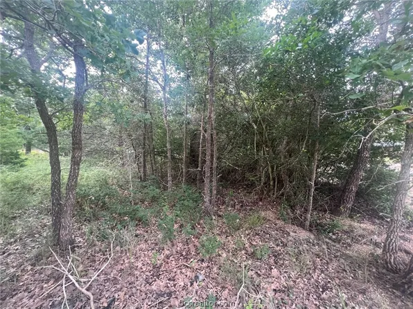 Apache Dr N, Somerville, TX 77879