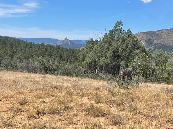 941 975,995 & 1027 Hurt Drive, Pagosa Springs, CO 81147
