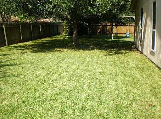 Back Yard 2