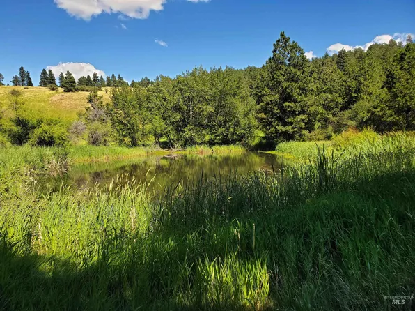 Tbd Lenville Rd, Moscow, ID 83843