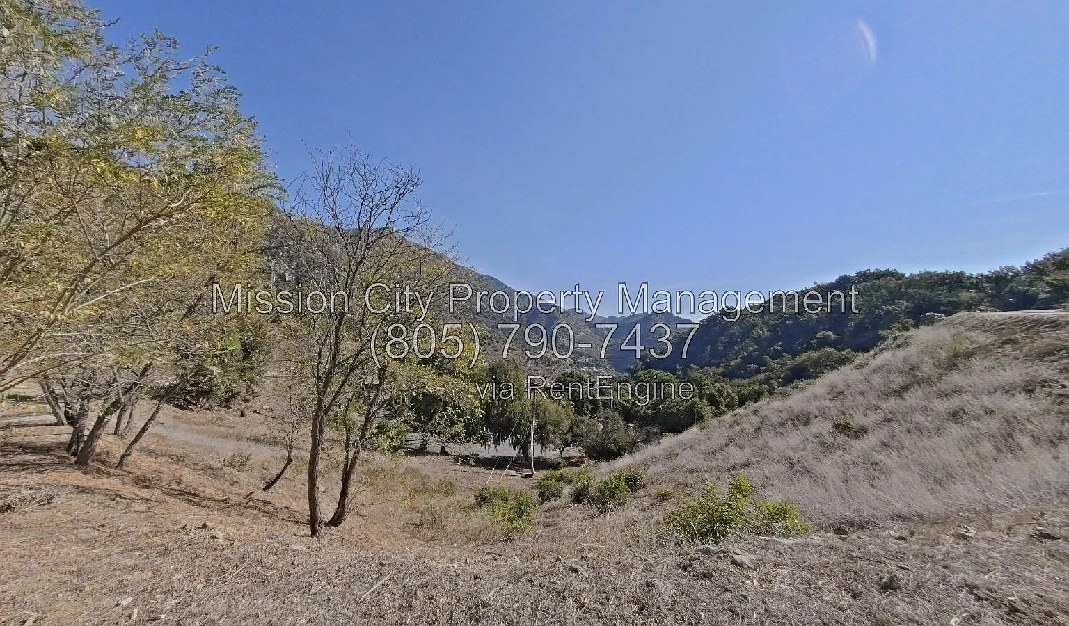 1 bed, 1.0 bath, 671 sqft, $2,950 — Photo 2