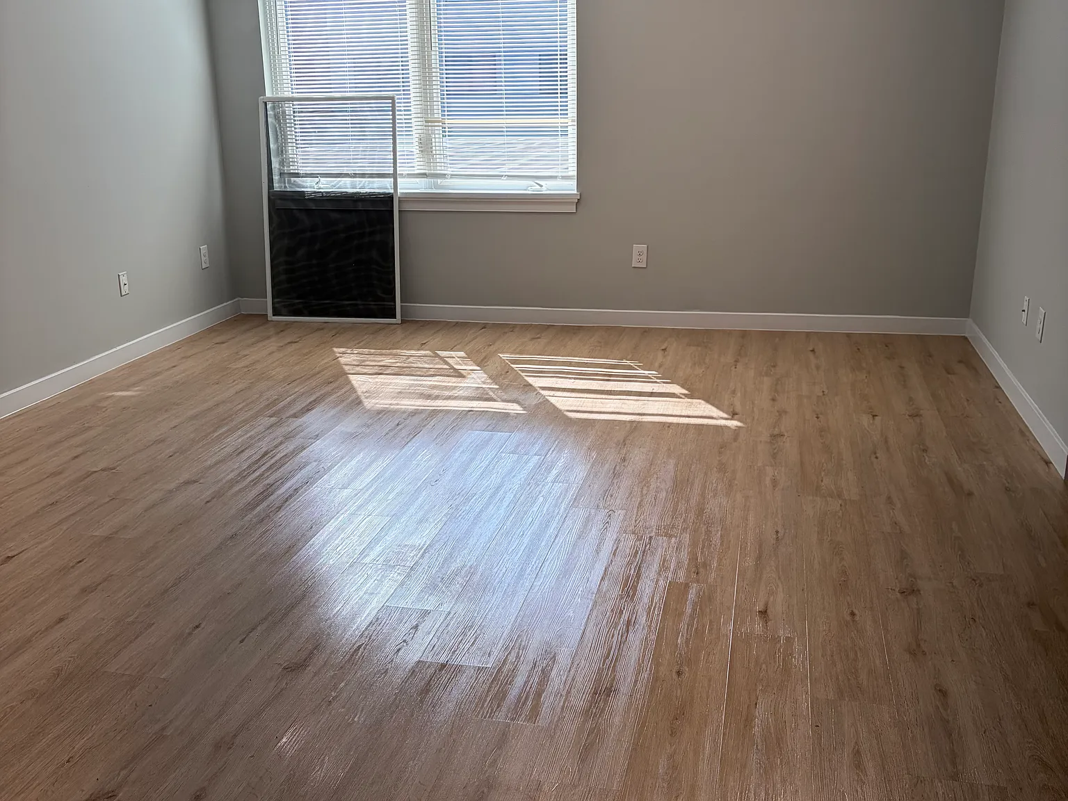 188 Lafayette St — Photo 3