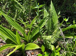 Kailua Rd LOT 399, Pahoa, HI 96778