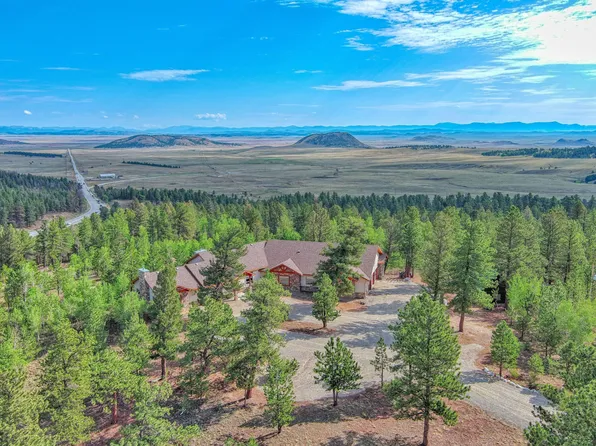 245 Windmill Dr, Hartsel, CO 80449