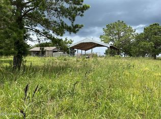 868 Vaughn Ln, Morton, MS 39117