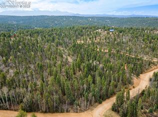 36 Chalk Circle Trl, Florissant, CO 80816
