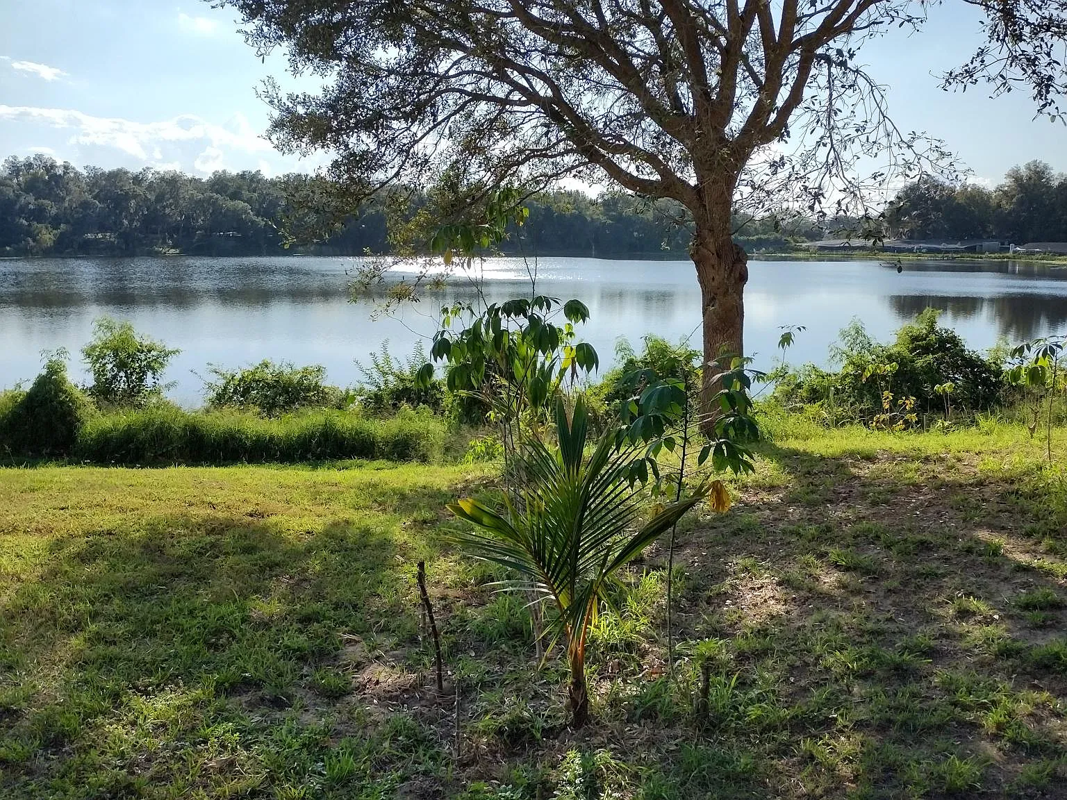 3 bed, 1.5 bath, 3269 sqft, $2,400 — Photo 3